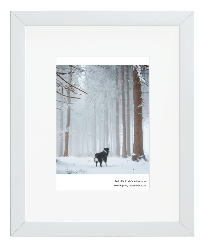 Best in Show Pet 8” x 10” Framed Print with Mat - White Best in Show - White
