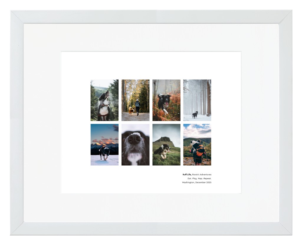 Best in Show Pet 14” x 11” Framed Print with Mat - White Best in Show - White