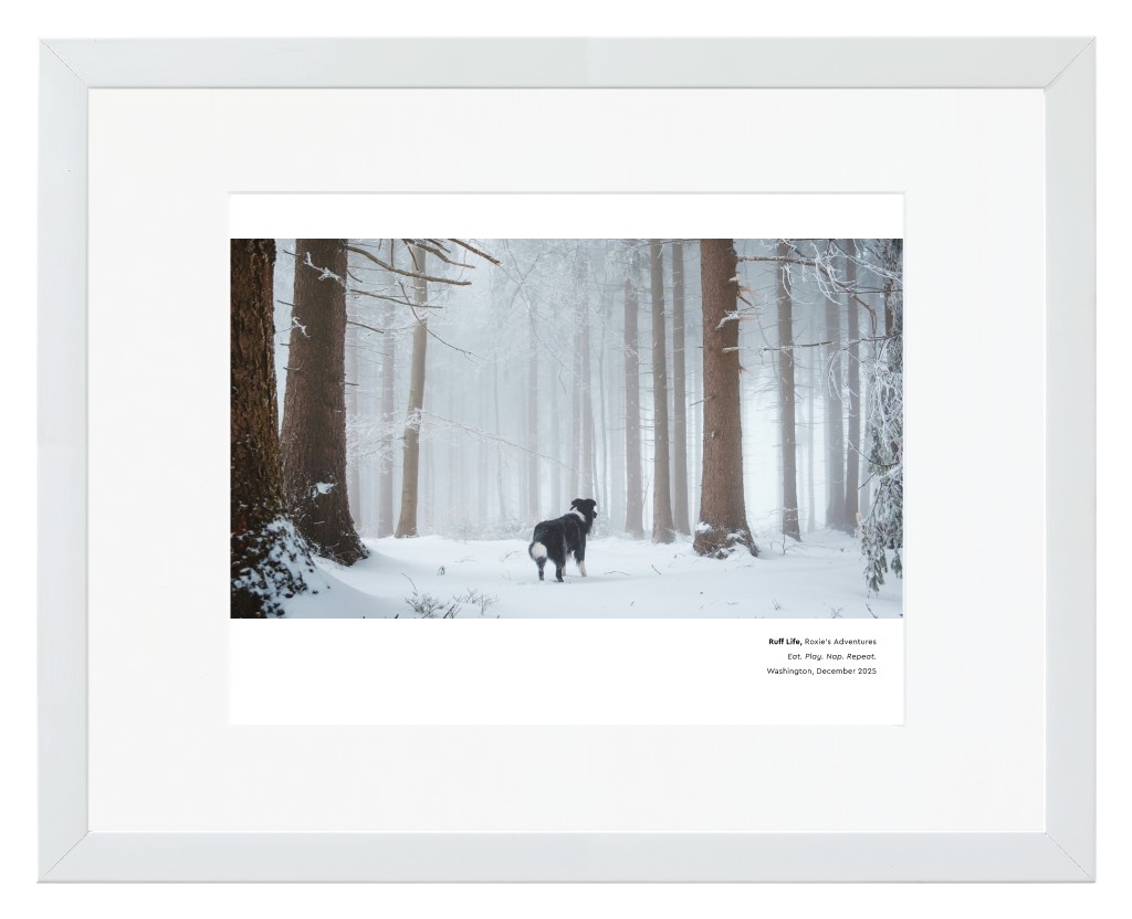Best in Show Pet 14” x 11” Framed Print with Mat - White Best in Show - White