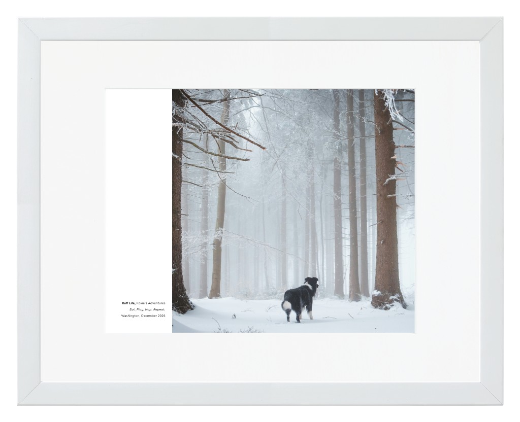 Best in Show Pet 14” x 11” Framed Print with Mat - White Best in Show - White