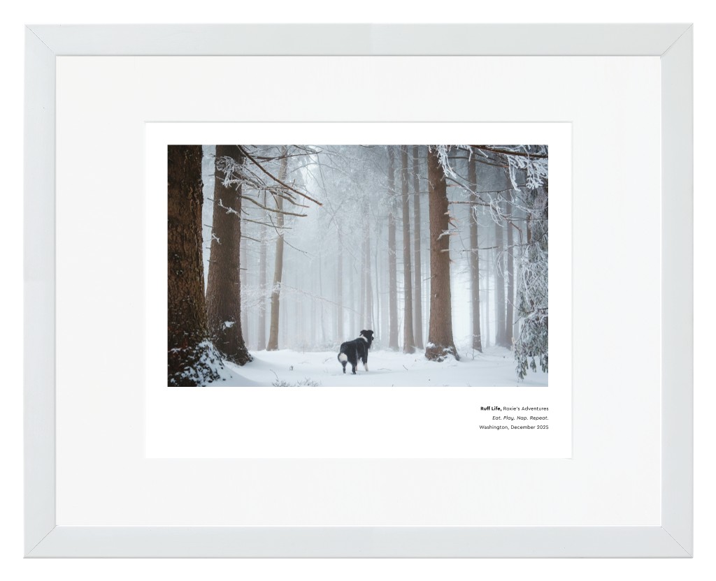 Best in Show Pet 14” x 11” Framed Print with Mat - White Best in Show - White