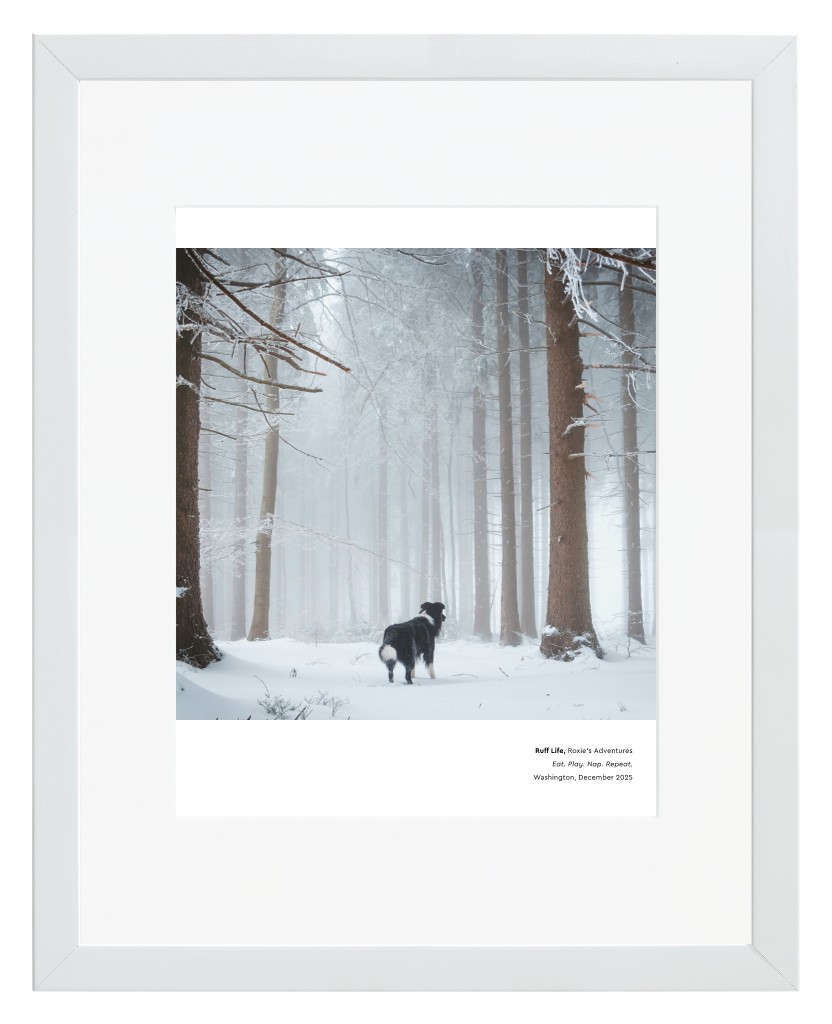 Best in Show Pet 11” x 14” Framed Print with Mat - White Best in Show - White