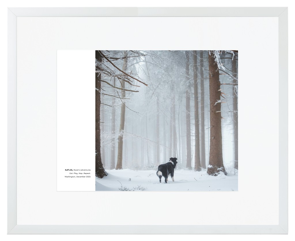 Best in Show Pet 20” x 16” Framed Print with Mat - White Best in Show - White