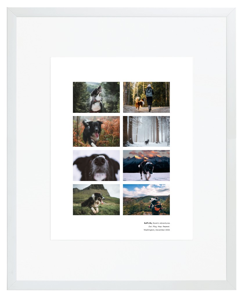 Best in Show Pet 16” x 20” Framed Print with Mat - White Best in Show - White