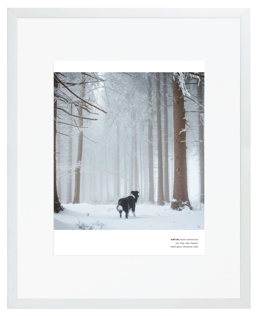 Best in Show Pet 16” x 20” Framed Print with Mat - White Best in Show - White