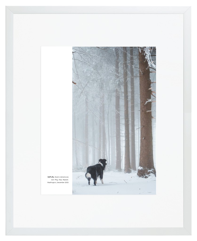Best in Show Pet 16” x 20” Framed Print with Mat - White Best in Show - White