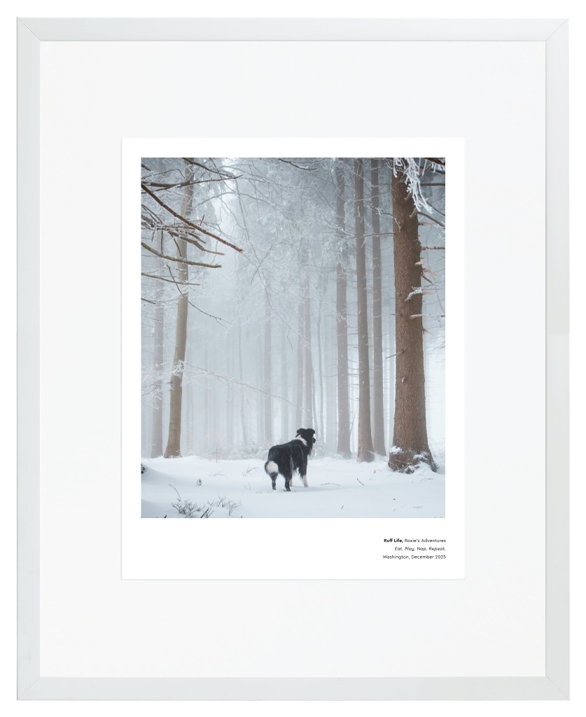 Best in Show Pet 16” x 20” Framed Print with Mat - White Best in Show - White