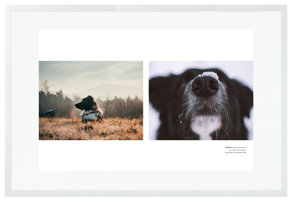 Best in Show Pet 30” x 20” Framed Print with Mat - White Best in Show - White