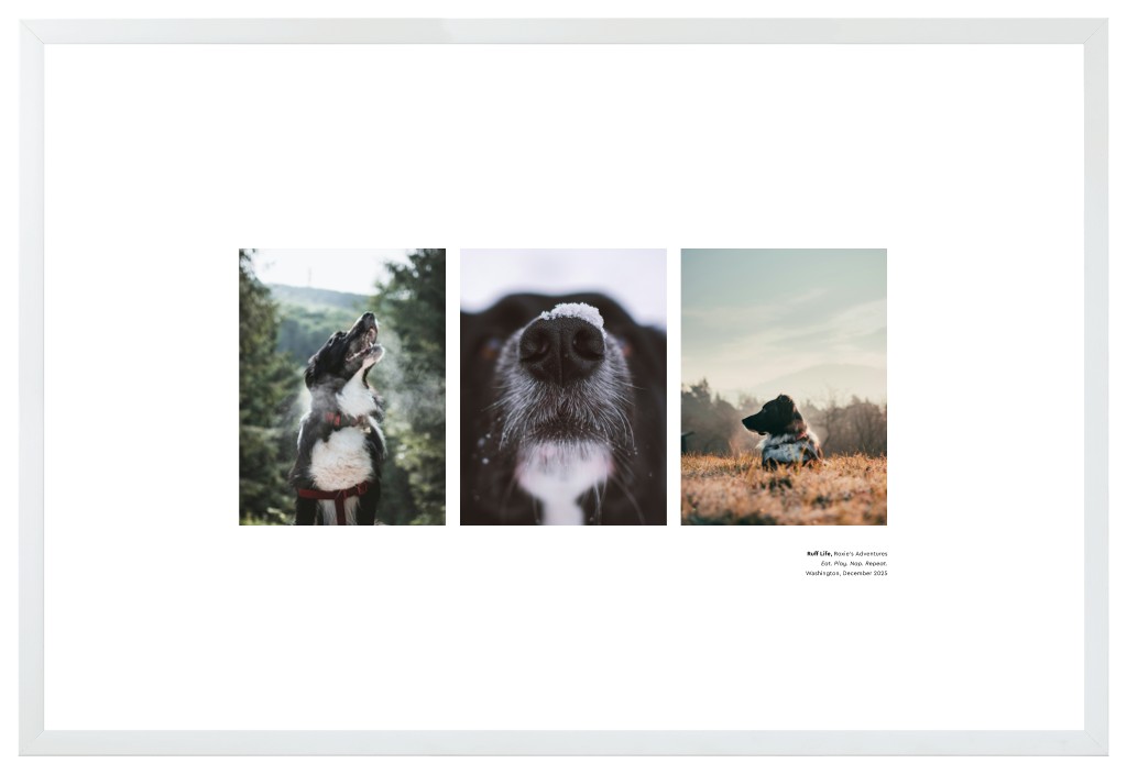 Best in Show Pet 30” x 20” Framed Print with Mat - White Best in Show - White