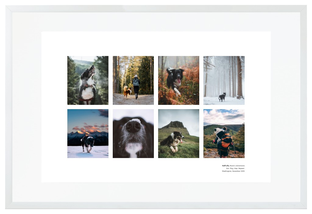 Best in Show Pet 30” x 20” Framed Print with Mat - White Best in Show - White