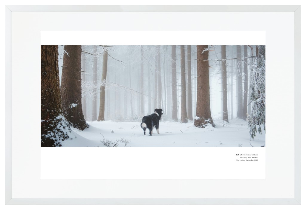 Best in Show Pet 30” x 20” Framed Print with Mat - White Best in Show - White