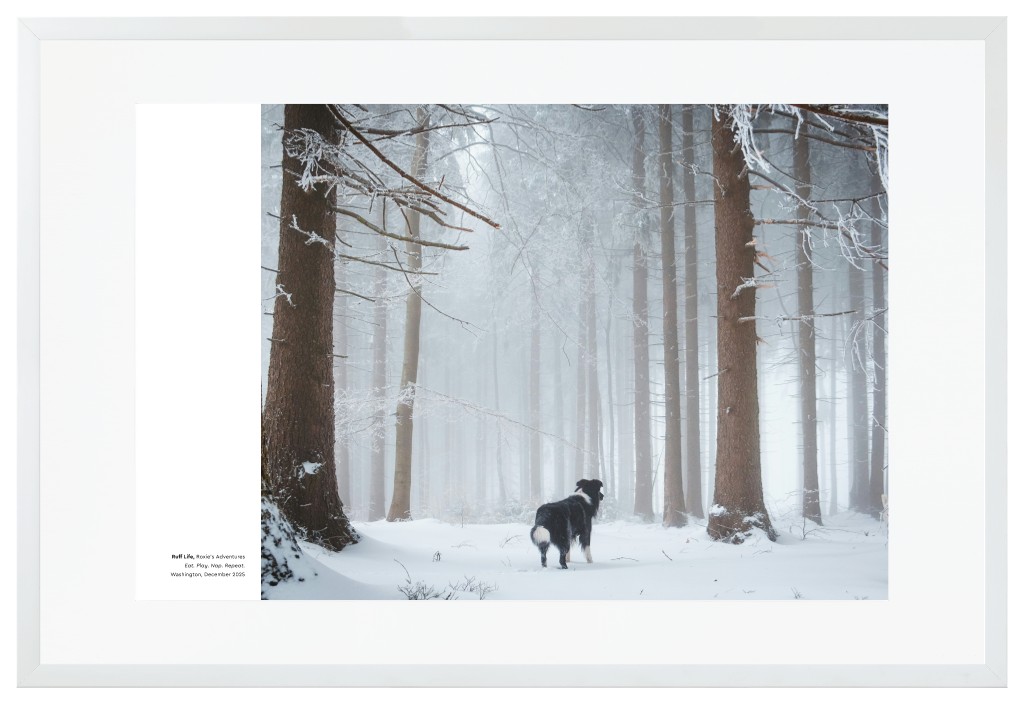Best in Show Pet 30” x 20” Framed Print with Mat - White Best in Show - White