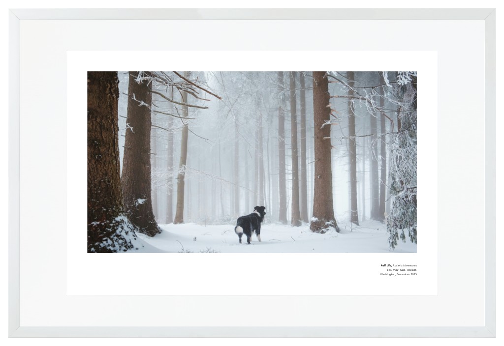 Best in Show Pet 30” x 20” Framed Print with Mat - White Best in Show - White