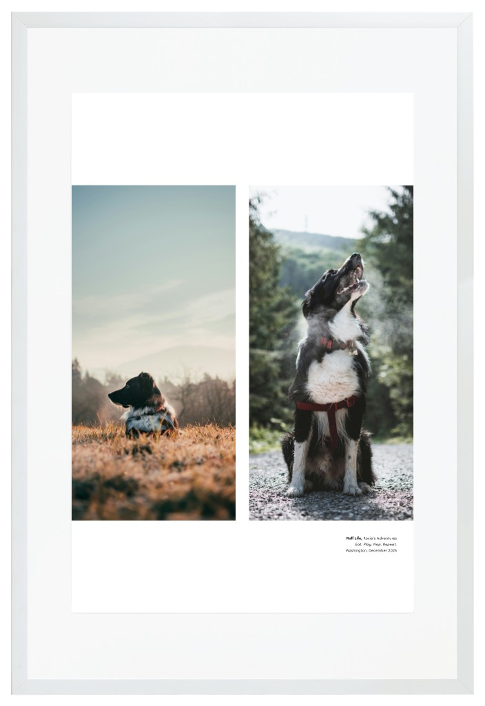 Best in Show Pet 20” x 30” Framed Print with Mat - White Best in Show - White