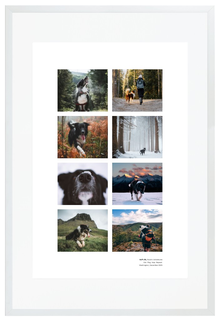 Best in Show Pet 20” x 30” Framed Print with Mat - White Best in Show - White