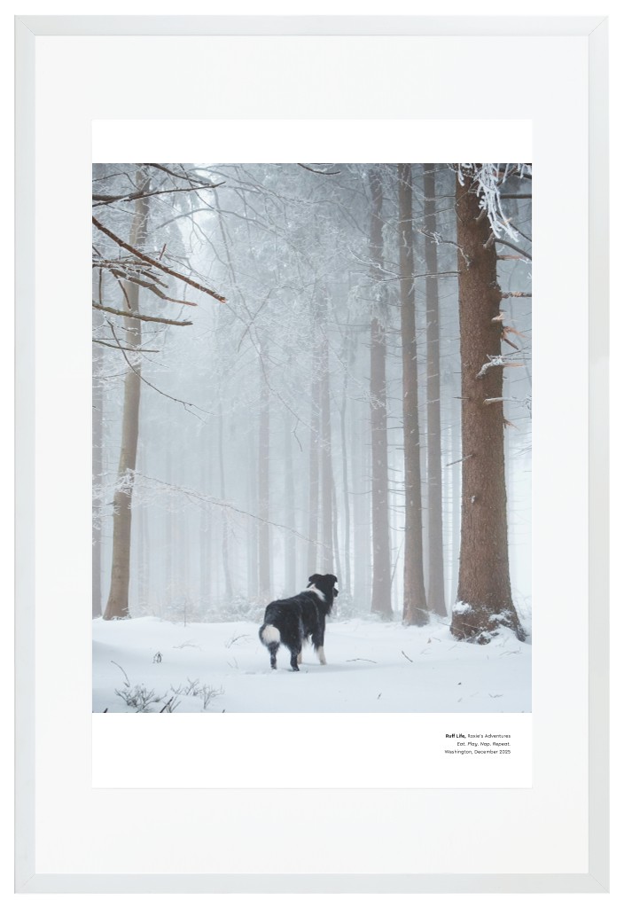Best in Show Pet 20” x 30” Framed Print with Mat - White Best in Show - White