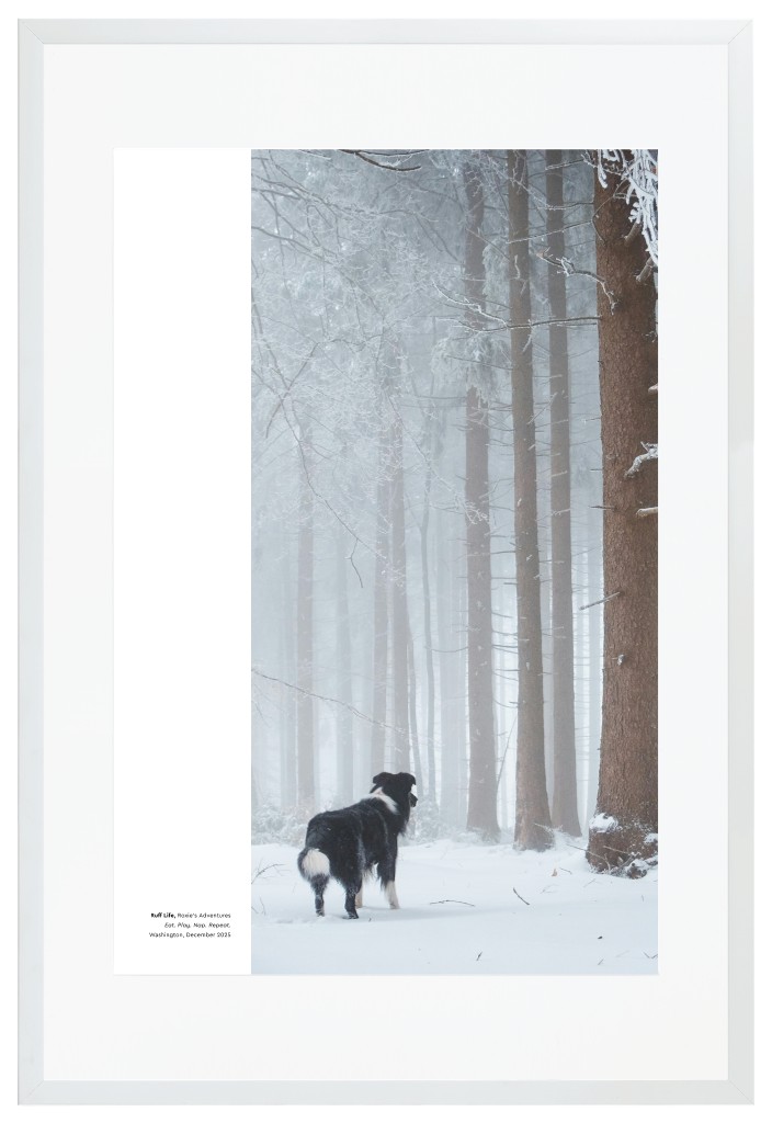 Best in Show Pet 20” x 30” Framed Print with Mat - White Best in Show - White