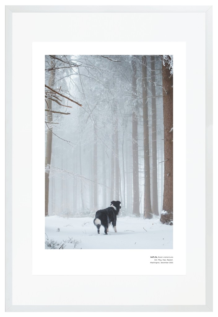 Best in Show Pet 20” x 30” Framed Print with Mat - White Best in Show - White