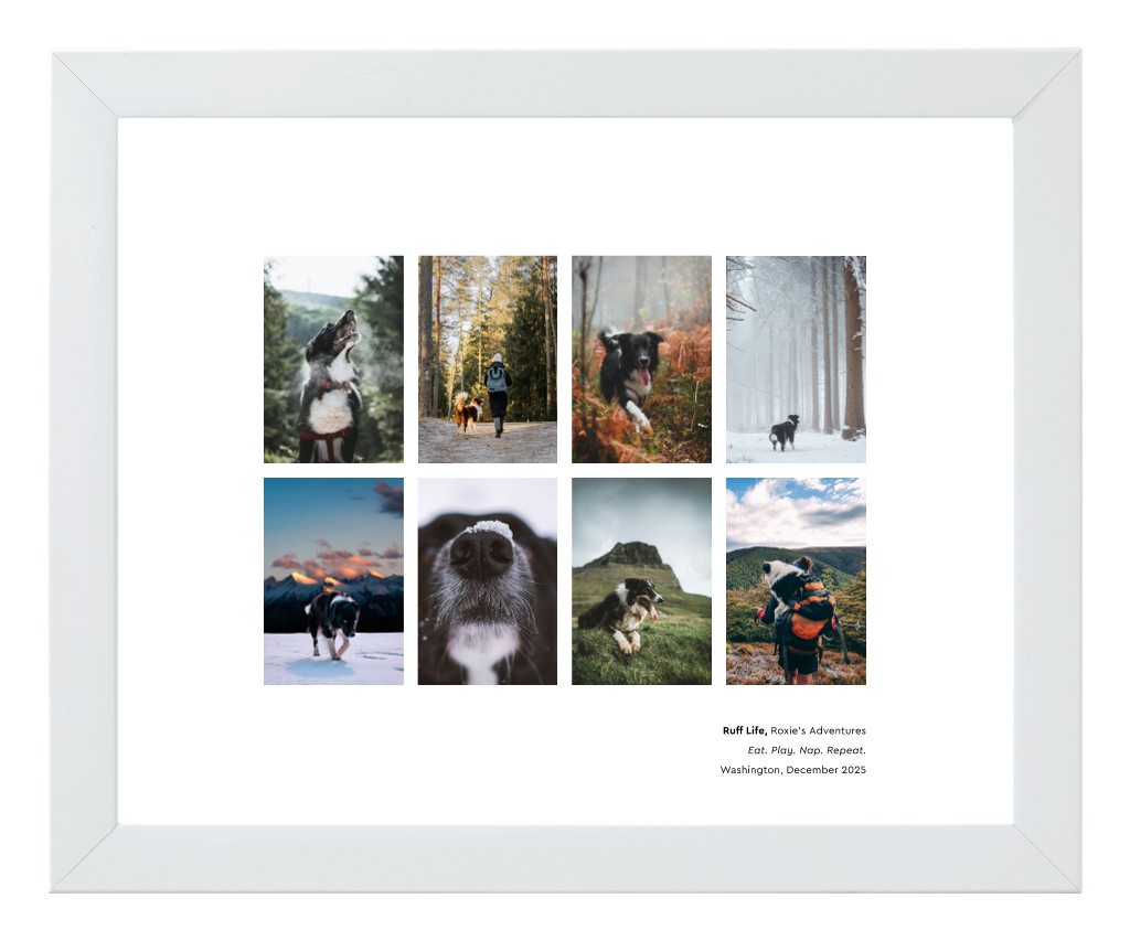 Best in Show Pet 10” x 8” Framed Print - White Best in Show - White