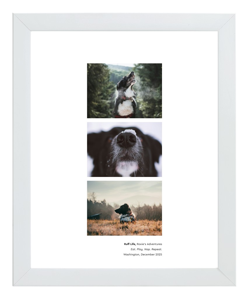 Best in Show Pet 8” x 10” Framed Print - White Best in Show - White