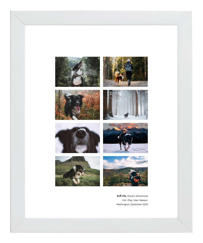 Best in Show Pet 8” x 10” Framed Print - White Best in Show - White