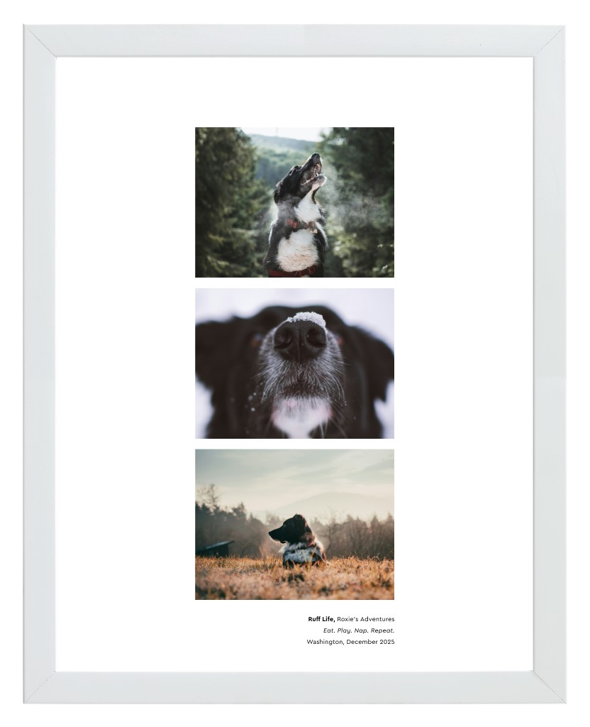 Best in Show Pet 11” x 14” Framed Print - White Best in Show - White