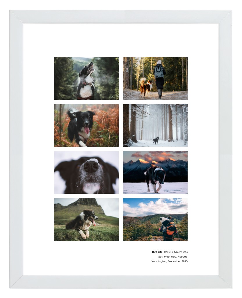 Best in Show Pet 11” x 14” Framed Print - White Best in Show - White