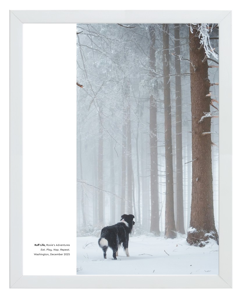 Best in Show Pet 11” x 14” Framed Print - White Best in Show - White