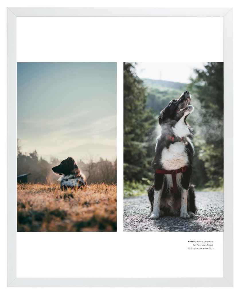 Best in Show Pet 16” x 20” Framed Print - White Best in Show - White