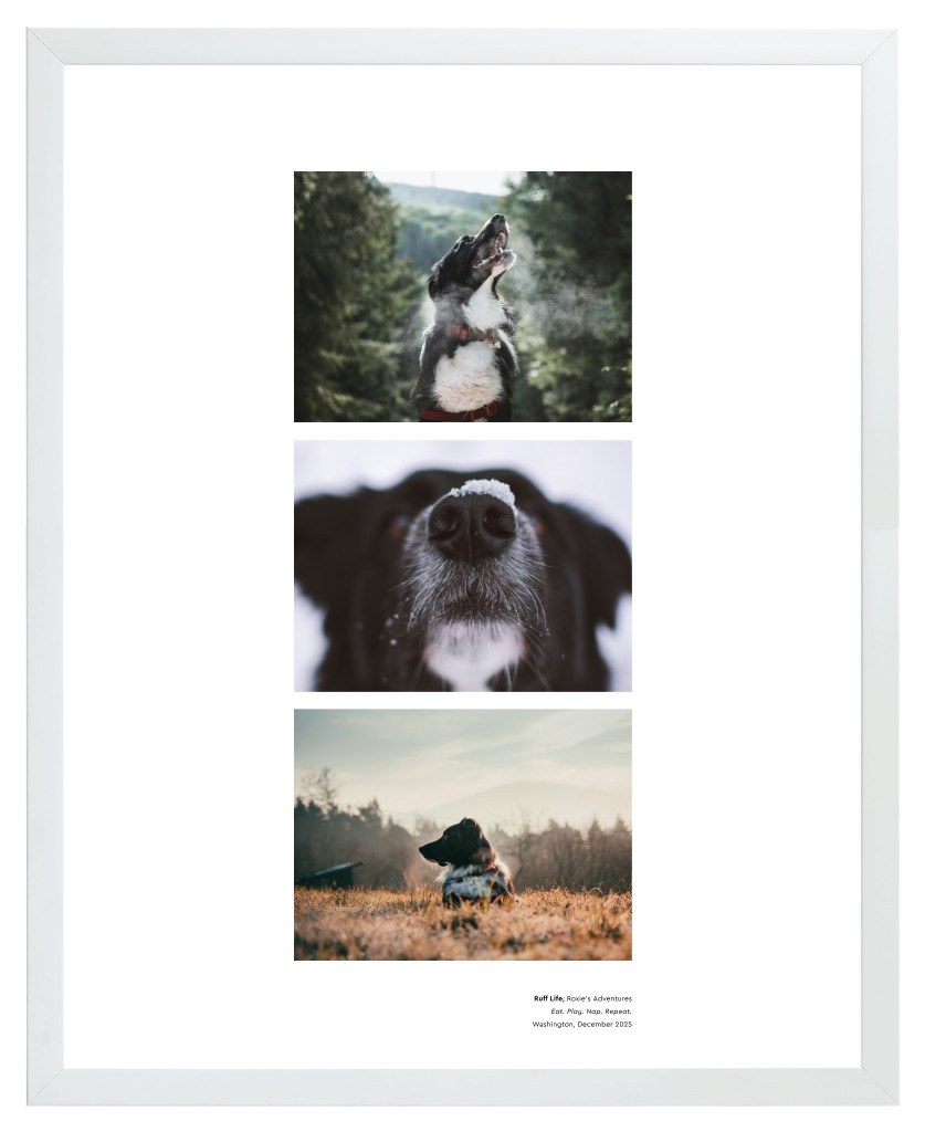 Best in Show Pet 16” x 20” Framed Print - White Best in Show - White