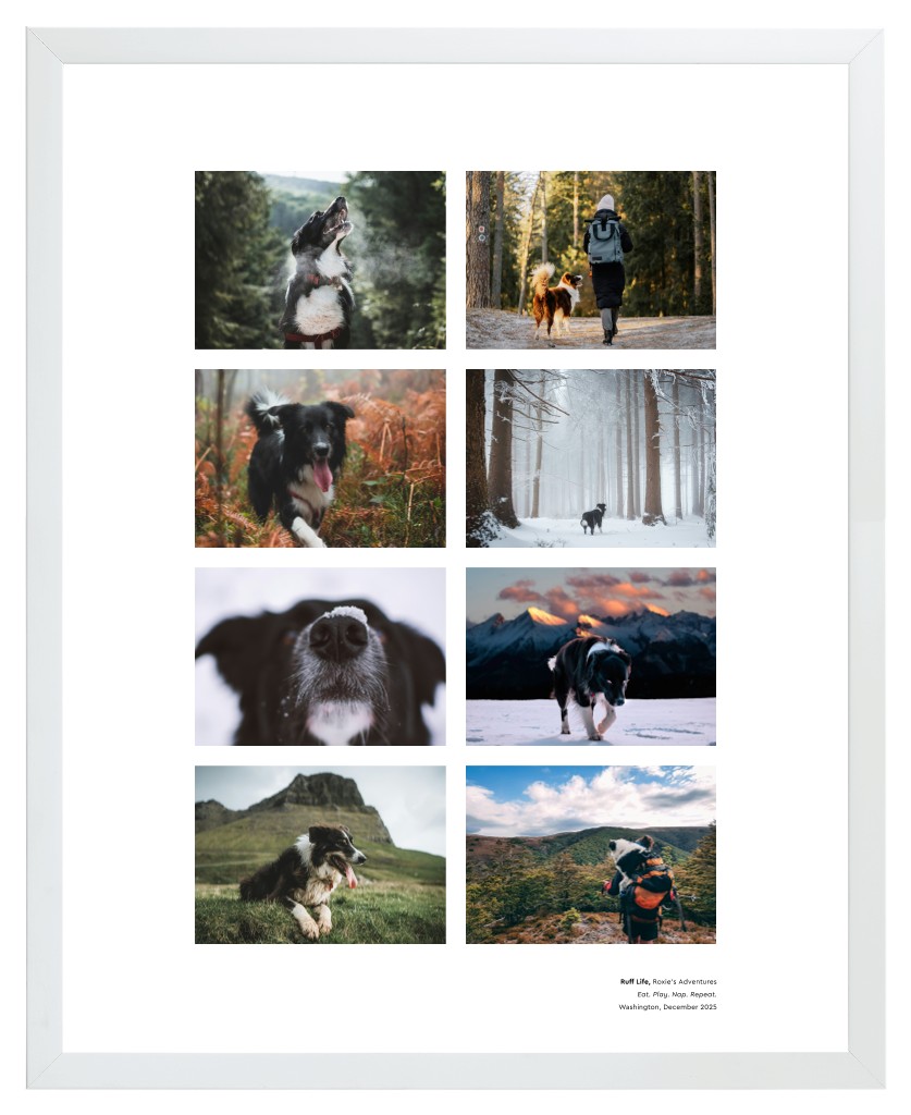 Best in Show Pet 16” x 20” Framed Print - White Best in Show - White