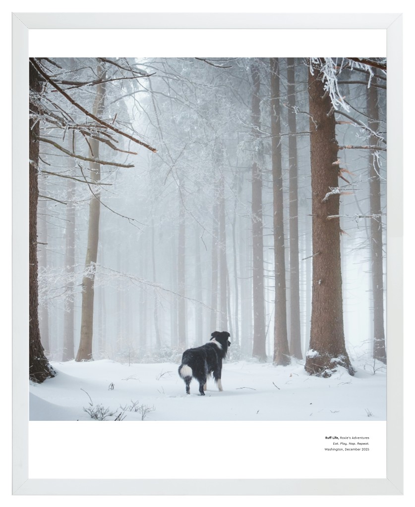 Best in Show Pet 16” x 20” Framed Print - White Best in Show - White