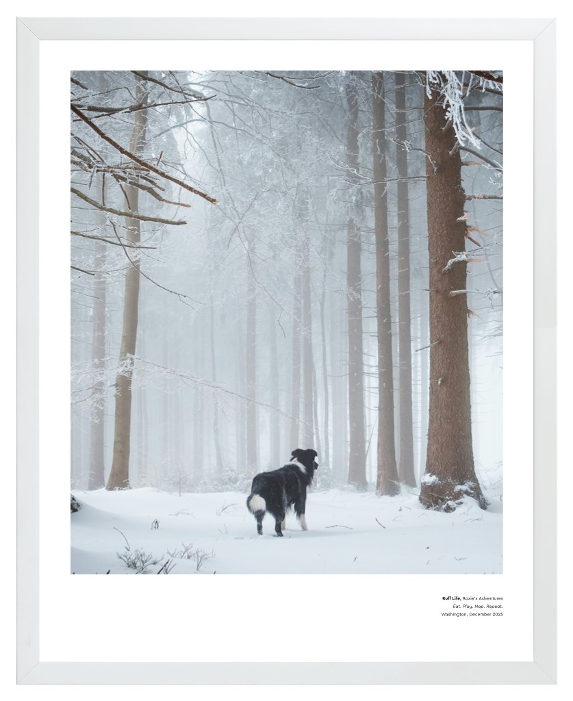 Best in Show Pet 16” x 20” Framed Print - White Best in Show - White