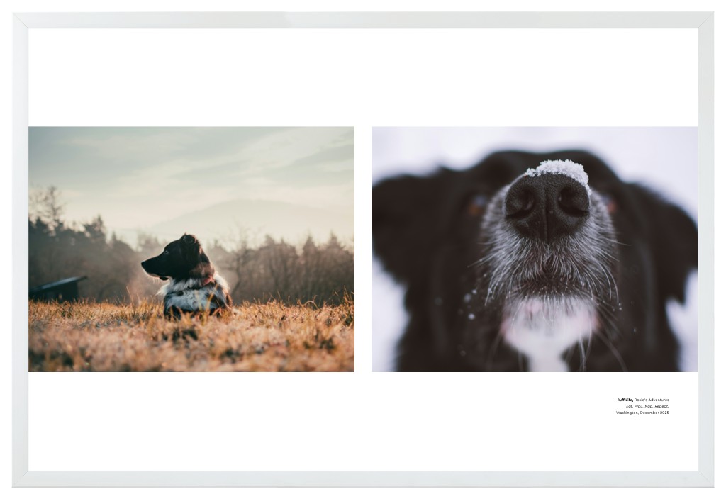 Best in Show Pet 30” x 20” Framed Print - White Best in Show - White