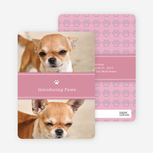 2 Photo Dog Cards - Main