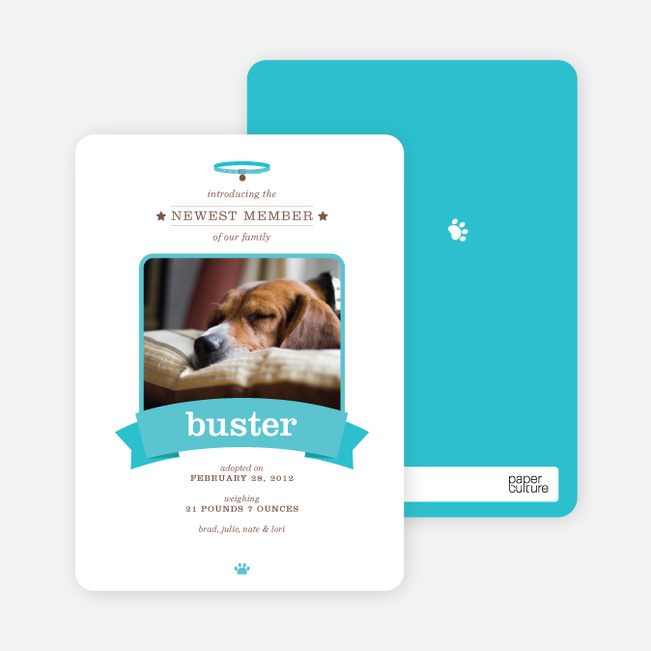 Banner Announcement Dog Photo Cards - Blue
