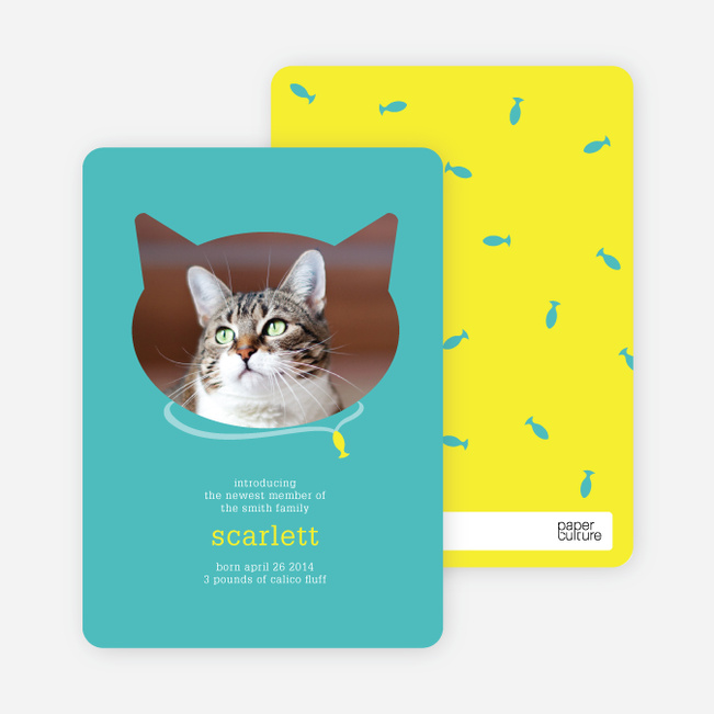 Cat Head Photo Card - Blue