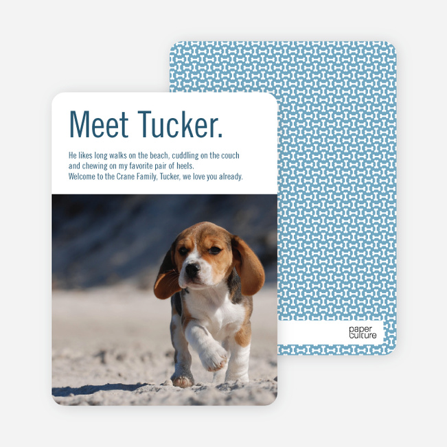 Dog Story Puppy Photo Cards - Blue