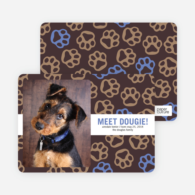 Paws-itively Marvelous Dog Cards - Pink