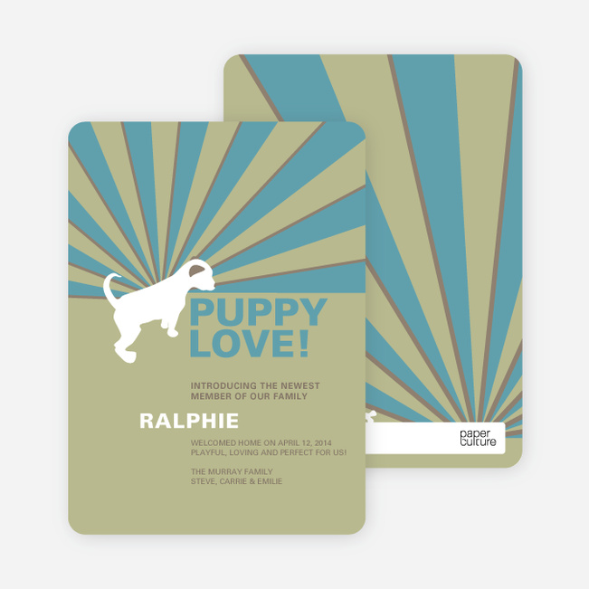 Rays of Light Cat and Dog Cards - Blue