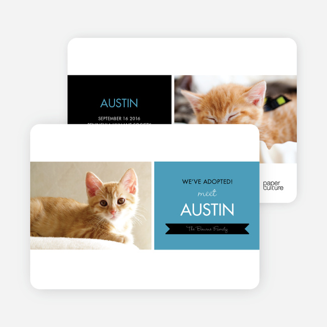 Pet Adoption Cards - Blue