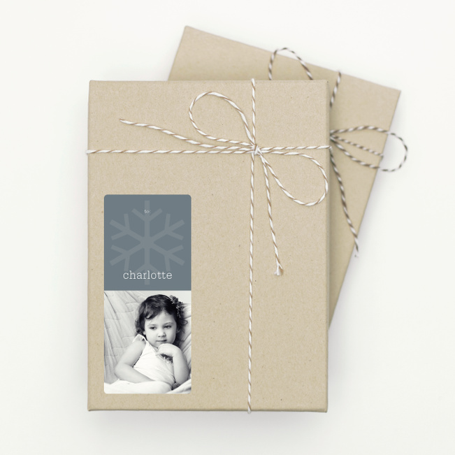 Photo Snowflake - Gray