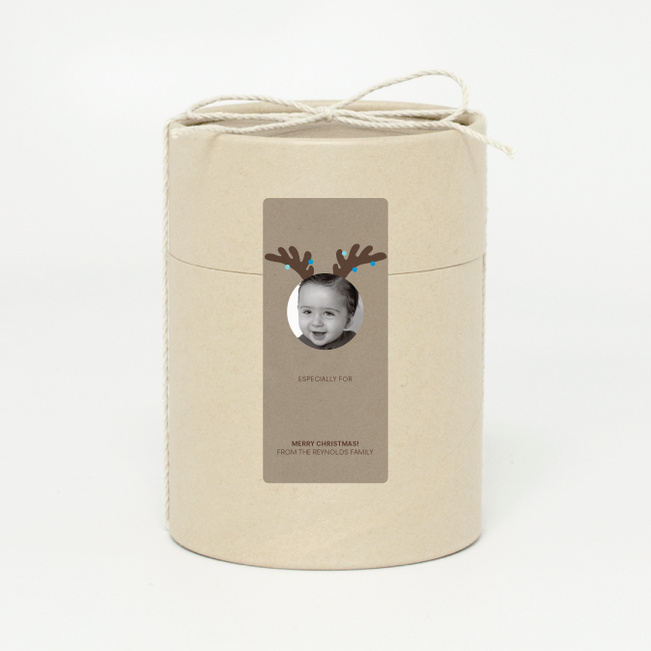 Reindeer Antler - Blue