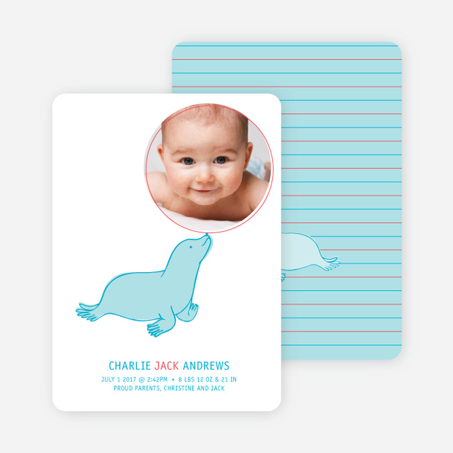 Sammie the Seal Photo Birth Announcements - Azure