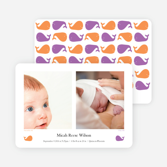 That S/He Blows Whale Birth Announcements - Purple Peace