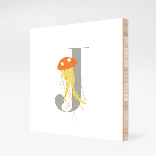 Alphabet Animals J Jellyfish - Front
