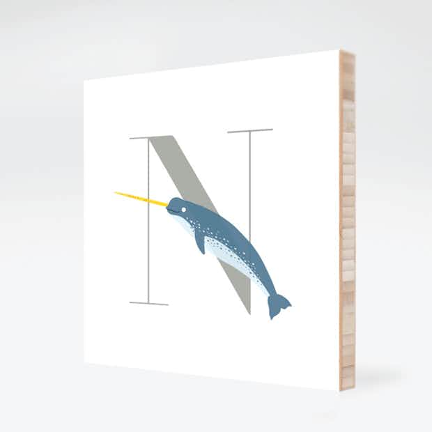 Alphabet Animals N Needlefish - Front