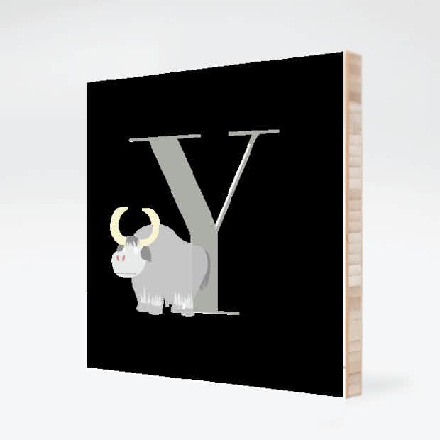 Alphabet Animals Y Yak - Front
