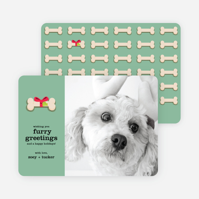 Furry Dog Holiday Cards | Paper Culture