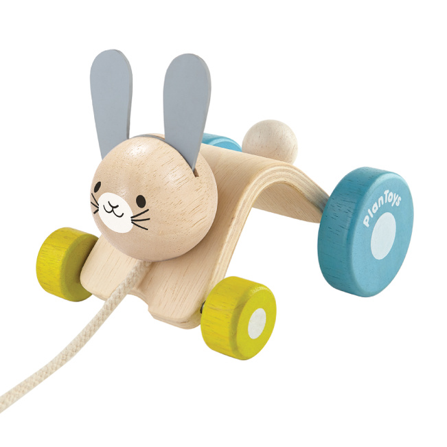 Hopping Rabbit Toddler’s Pull Toy - Multi